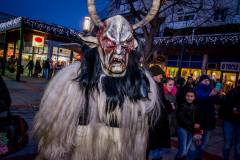 Photo by Sascha Fiala