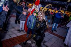 Photo by Sascha Fiala