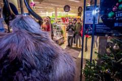 Photo by Sascha Fiala