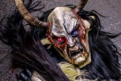 Photo by Sascha Fiala