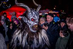 Photo by Sascha Fiala