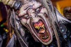 Photo by Sascha Fiala