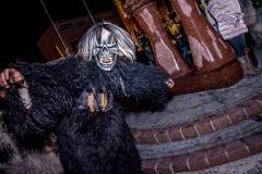 Photo by Sascha Fiala