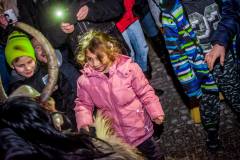 Photo by Sascha Fiala