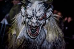 Photo by Sascha Fiala