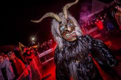 Photo by Sascha Fiala