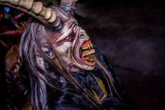 Photo by Sascha Fiala