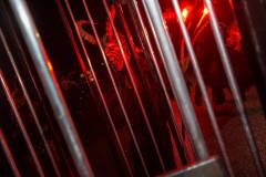 Photo by Sascha Fiala