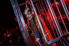 Photo by Sascha Fiala