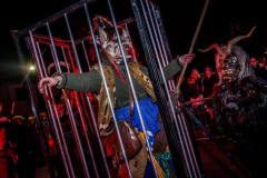 Photo by Sascha Fiala