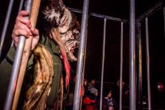 Photo by Sascha Fiala