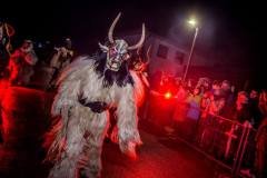 Photo by Sascha Fiala