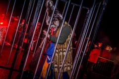 Photo by Sascha Fiala