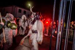 Photo by Sascha Fiala