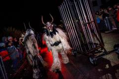 Photo by Sascha Fiala