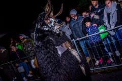 Photo by Sascha Fiala