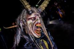 Photo by Sascha Fiala