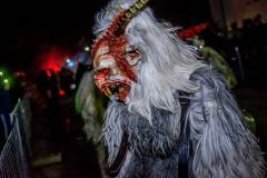 Photo by Sascha Fiala