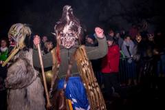 Photo by Sascha Fiala