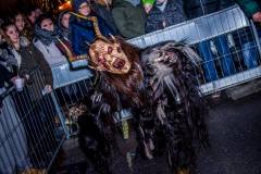 Photo by Sascha Fiala