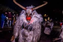 Photo by Sascha Fiala