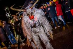 Photo by Sascha Fiala