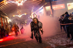 Photo by Sascha Fiala