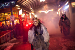 Photo by Sascha Fiala