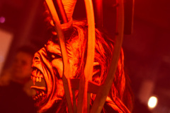 Photo by Sascha Fiala