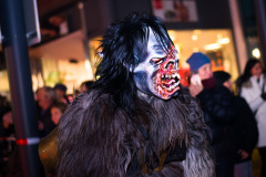 Photo by Sascha Fiala