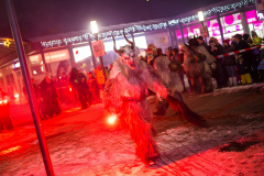 Photo by Sascha Fiala