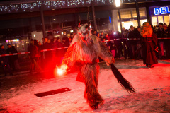 Photo by Sascha Fiala