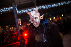 Photo by Sascha Fiala