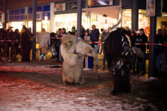 Photo by Sascha Fiala