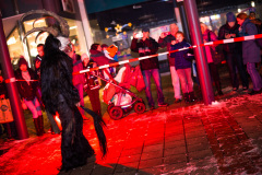 Photo by Sascha Fiala