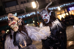 Photo by Sascha Fiala