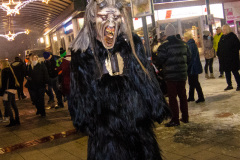 Photo by Sascha Fiala