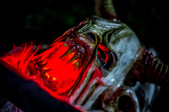 Photo by Sascha Fiala