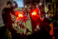 Photo by Sascha Fiala