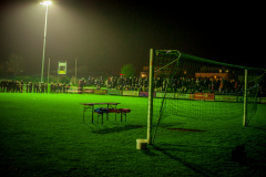 Photo by Sascha Fiala