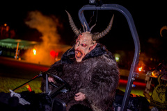 Photo by Sascha Fiala