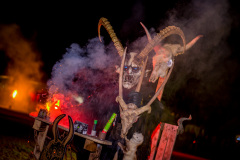 Photo by Sascha Fiala