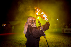 Photo by Sascha Fiala