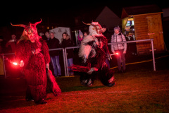 Photo by Sascha Fiala