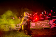 Photo by Sascha Fiala