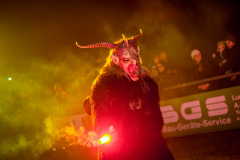 Photo by Sascha Fiala