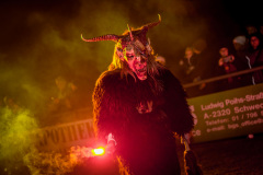 Photo by Sascha Fiala