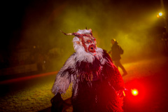 Photo by Sascha Fiala