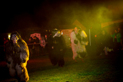 Photo by Sascha Fiala