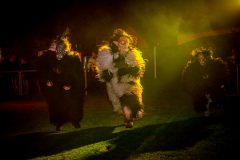 Photo by Sascha Fiala